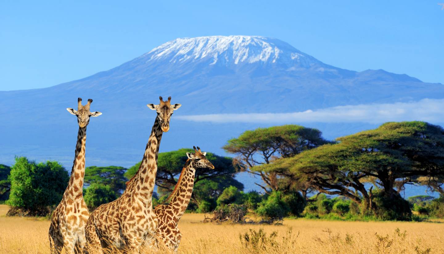Best and Budget Kenya  Tour Packages | Local Tour Operator in Kenya  | Travel Hed