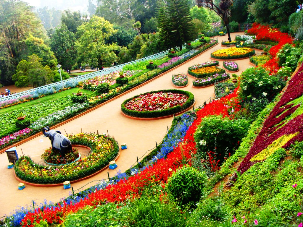 Best and Cheap Ooty Tour Packages | Local Travel Agent in Ooty | Travel Hed
