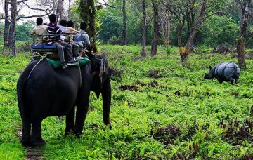 Dooars Weekend Tour Packages | call 9899567825 Avail 50% Off